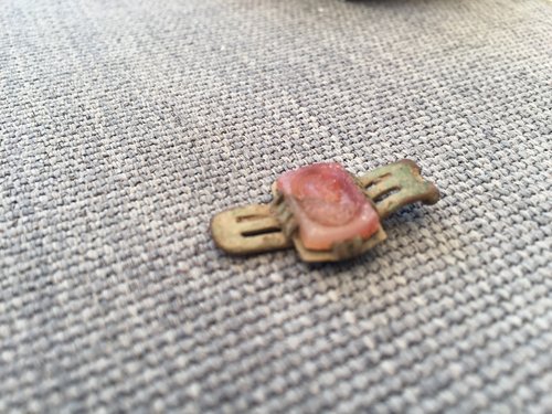 image.jpeg
