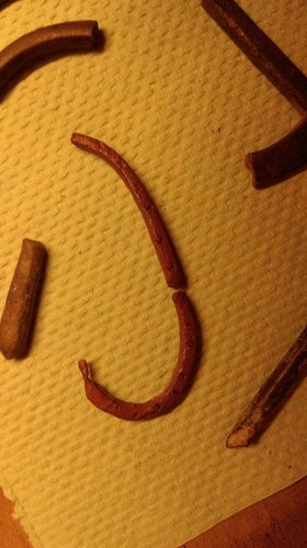 IMAG0544.jpg