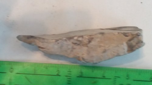 20160731_162715.jpg