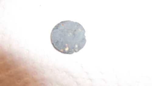 DSCF4571.JPG