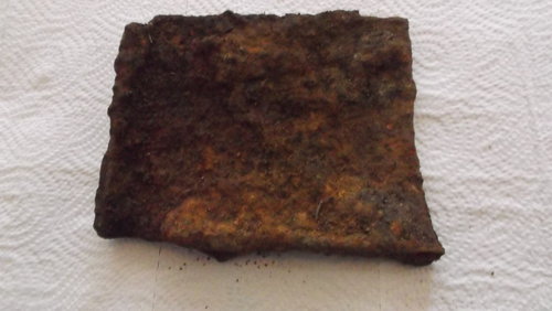 DSCF4556.JPG