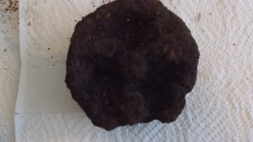 DSCF4559.JPG