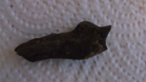 DSCF4561.JPG