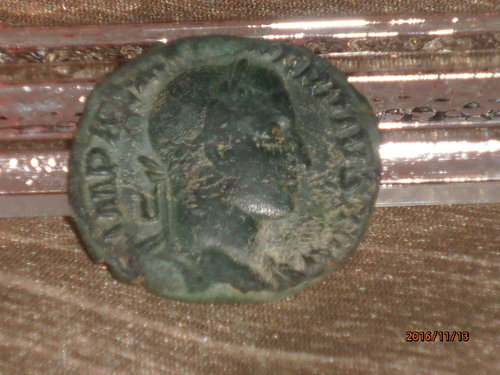 PB130246.JPG