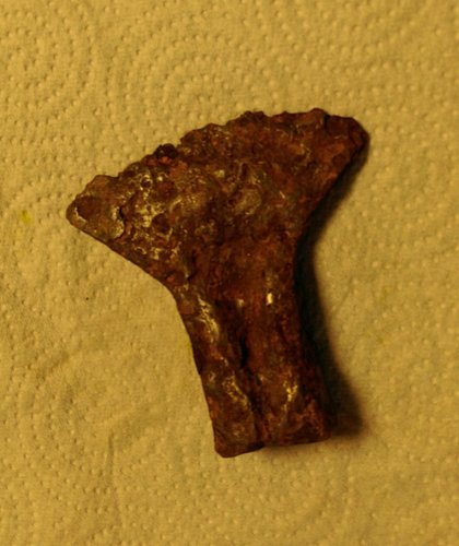 IMAG0755_1.jpg