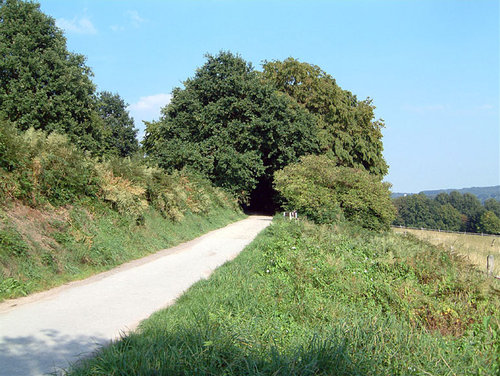 Hohlweg.jpg