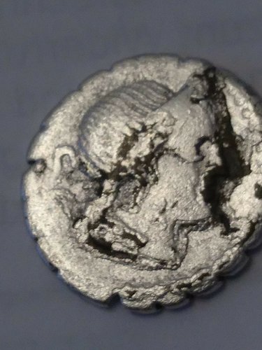 CM170206-10014101.jpg