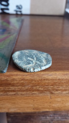 20170219_153241.jpg