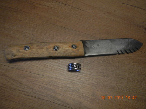 DSCN5322.JPG