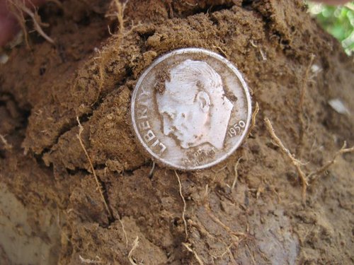 Nokta Relic 4 Rosies & Merc 003.jpg