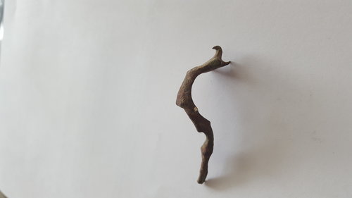 20170415_084433.jpg