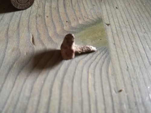 IMG_20170511_124459.jpg