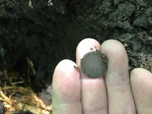 IMG_3205.JPG (1.9 MiB) 765-mal betrachtet IMG_3205.JPG