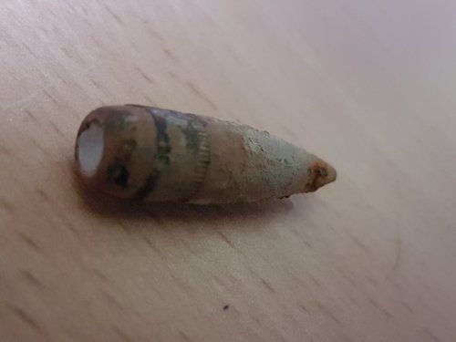 20171119_111436.jpg