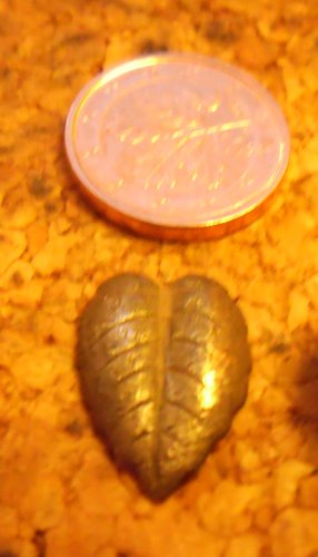 PICT0032.JPG