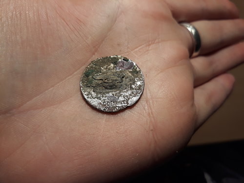 20180309_175712.jpg