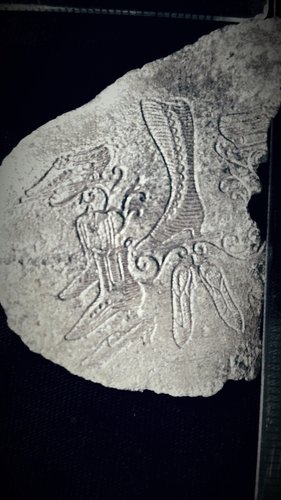20180401_185239.jpg
