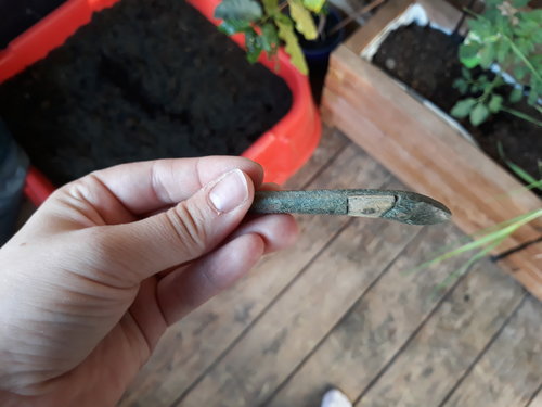 20180425_183738.jpg