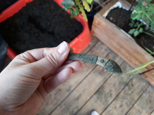 20180425_183740.jpg