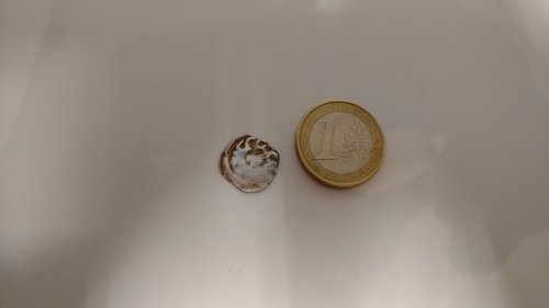 IMG_20180624_213017088.jpg