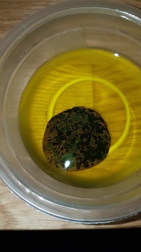 Screenshot_20180815-163820_Gallery.jpg