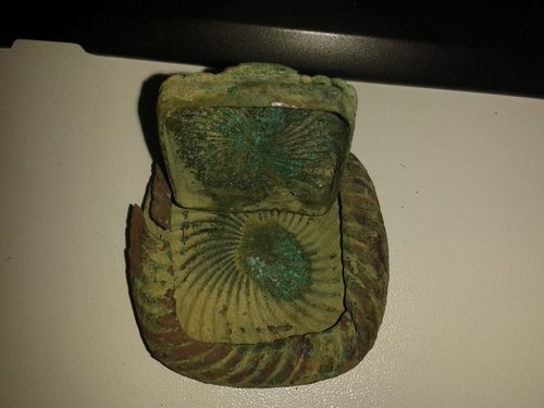 20131220_080453.jpg