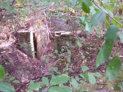 waldbunker6.jpg