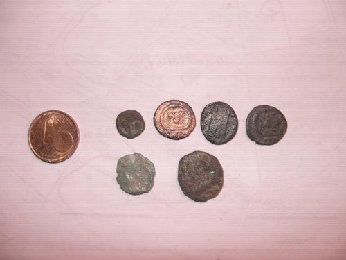 2h suche im wald 269.JPG