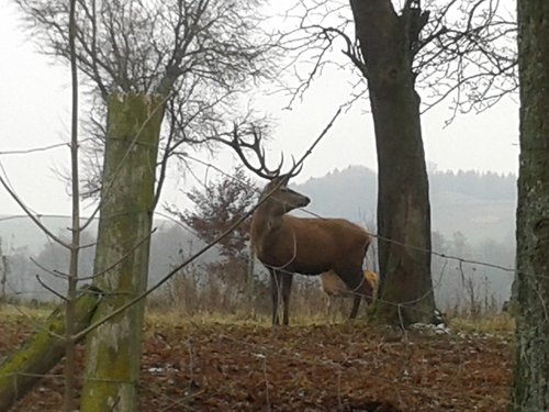 20131221_125840.jpg