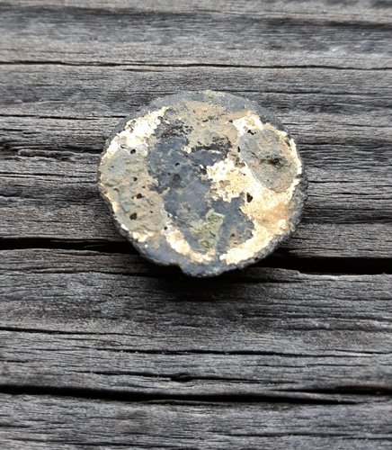 20190310_104304.jpg