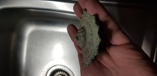 20190327_203911.jpg