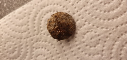 IMG-20191103-WA0000.jpeg