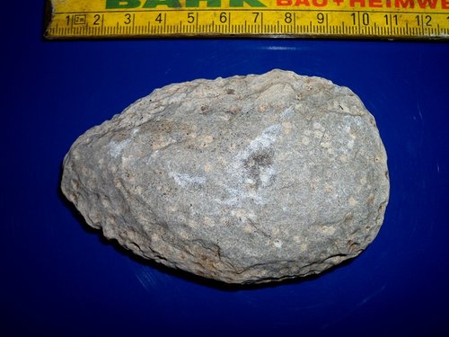 k-DSCI0445.JPG