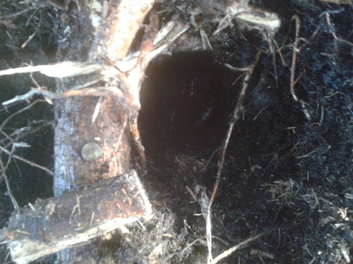 20131228_102932.jpg