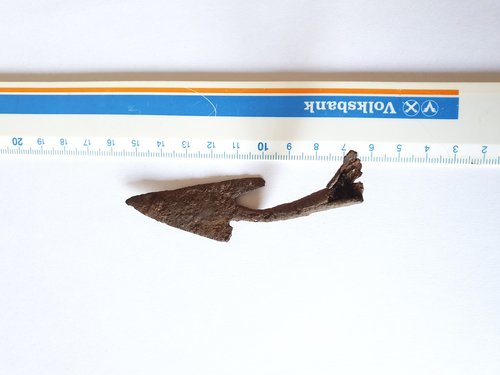 20201115_135354.jpg