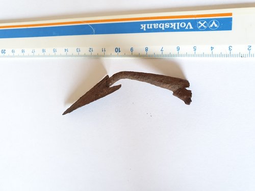 20201115_135425.jpg
