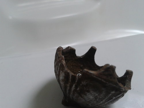 2012-09-30 11.55.01.jpg
