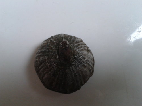 2012-09-30 11.54.37.jpg