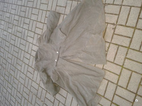 Bild 556.jpg