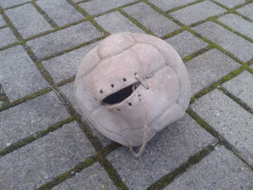 Bild 551.jpg