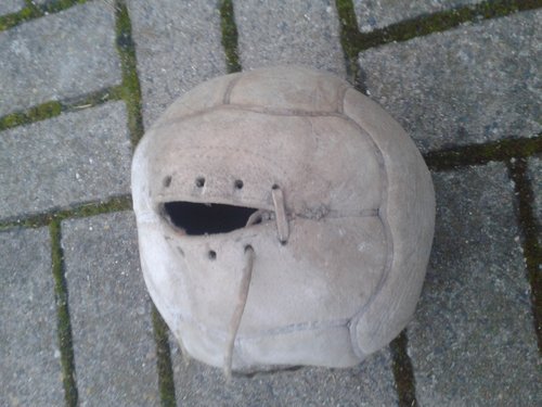 Bild 552.jpg