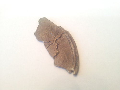 20140215_172026.jpg