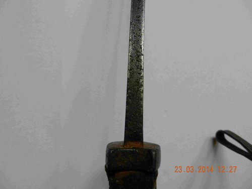 DSCN0753.jpg