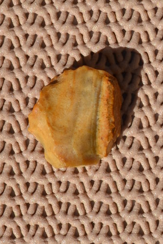 171.JPG