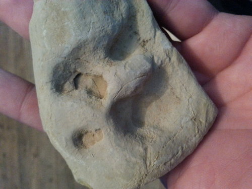 20140404_075509.jpg