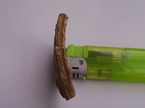 100_9804.JPG