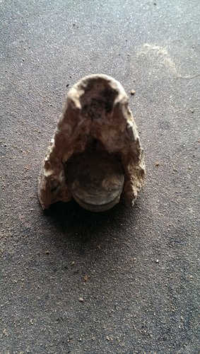 1408004360495.jpg