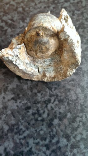 1408038490668.jpg