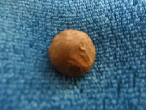 DSCI0027.JPG